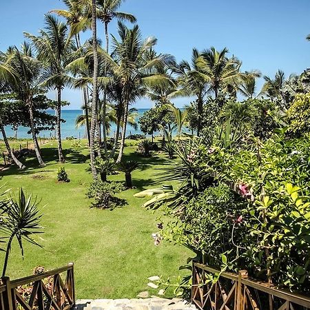 Jasmine La Playita - Ocean Front Apartman Las Galeras Kültér fotó