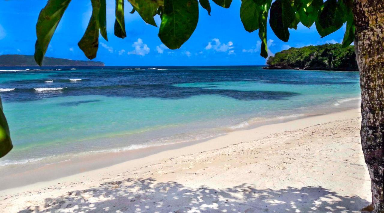 Jasmine La Playita - Ocean Front Apartman Las Galeras Kültér fotó